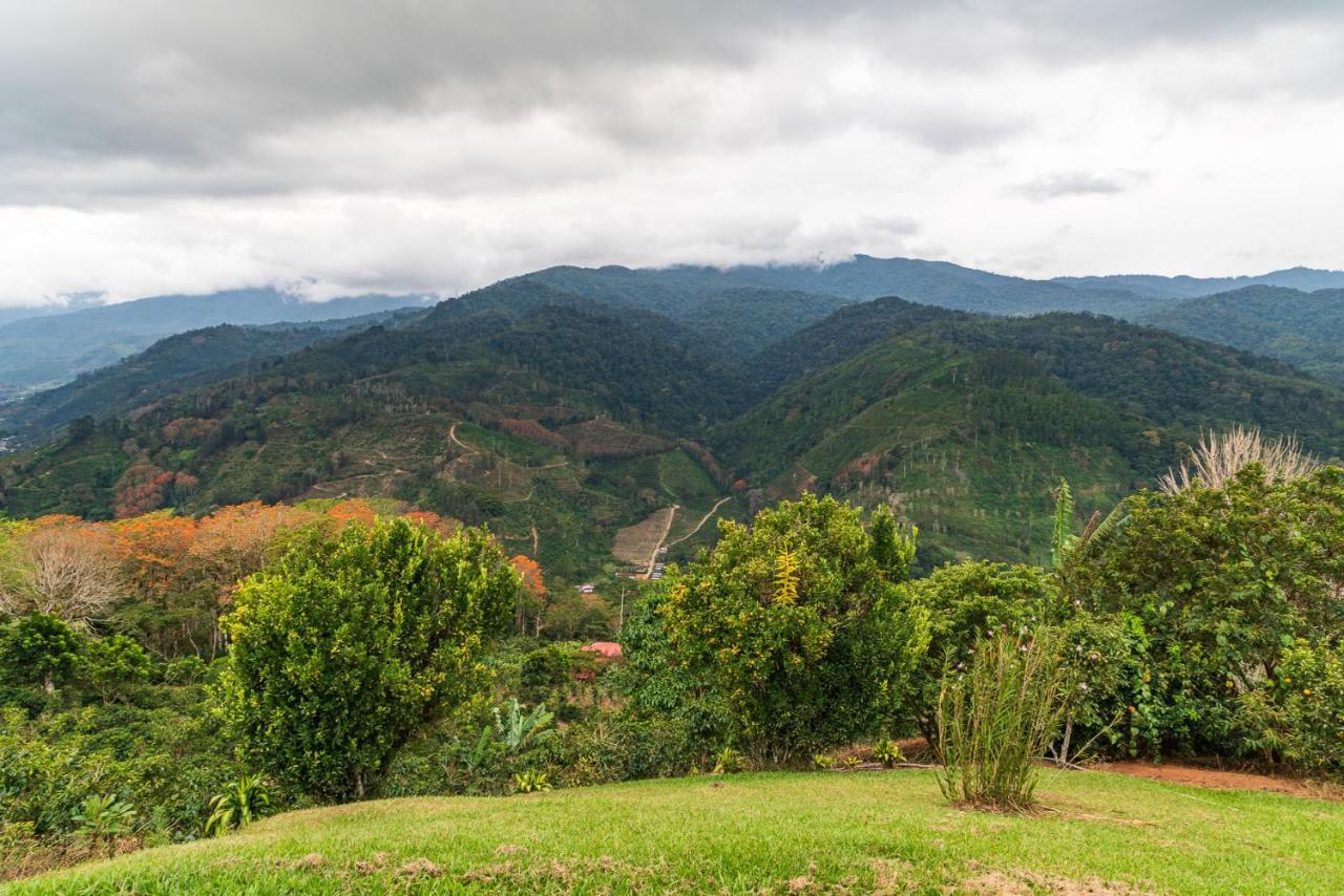 Casa Bartzis, Close To Orosi And Tapanti National Park Buitenkant foto
